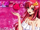 lacus-105991482