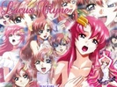lacus-106024369
