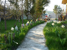 de Florii in 17 aprilie 2011