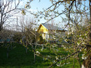 de Florii in 17 aprilie 2011