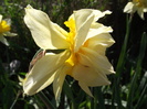 DSCF2836