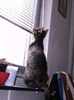 aprilie 040