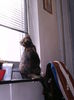 aprilie 047