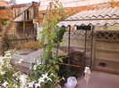 DSC05384