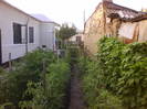 DSC05409