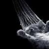 images (54)