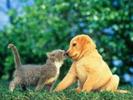 images (58)