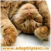 images (82)