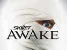 Skillet Awake and Alive