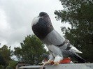 SAM_0581