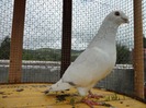 SAM_0630
