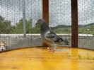 SAM_0524