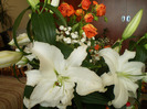 Flori pentru masa de pasti 2011