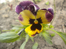 DSCN0781