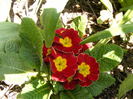 DSCF6403