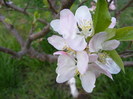 DSCF6471