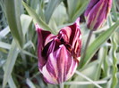 DSCF6472