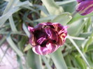 DSCF6473