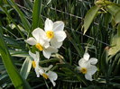 DSCF6476