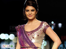 jacqueline fernandez 3a