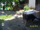 31125027_CYTTRDCDH