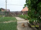 31125031_TVHAXGVIR