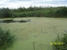 Picture 003