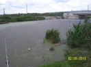 Picture 006
