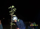 Picture 016