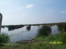 Picture 017