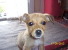 Picture 020