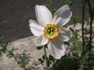 DSCF2855