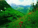 mountain08_1240863066