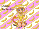 Pudding-Tokyo Mew Mew