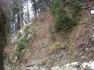 SDC18848