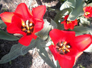 DSCN0843