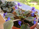 Picture 004
