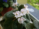Picture 005