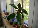 Picture 007