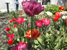 DSCN0846
