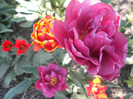 DSCN0847