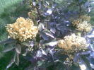 Imag036