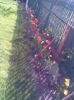 Imag038