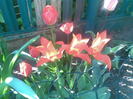 Imag039