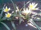 Imag041