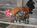 DSCF0025