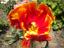 DSCN0851