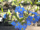 DSCN0850