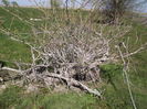 DSCF2876