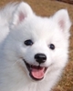 35808794_XYHFQFDNT